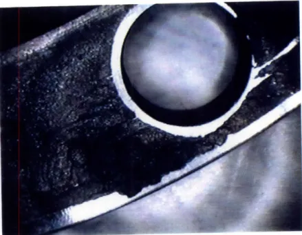 Figure 4-11:  Specimen #2  Hemispherical  Pits (20X  magnification)