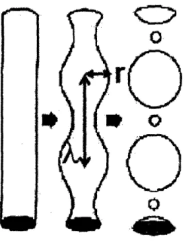Figure  2-2:  Decay  of  an infinite  liquid  cylinder  into  a collection  of droplets  via  a Rayleigh instability  [2].