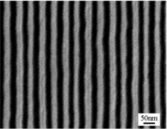 FIG. 4. 50 nm period grating with 22 nm linewidth over a large area fabri- fabri-cated by doubling twice from a 200 nm period grating.
