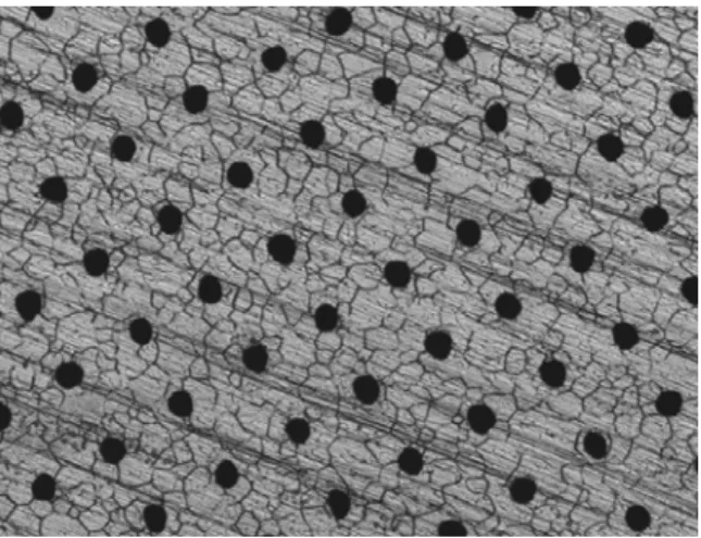 Figure 1. An optical micrograph of a porous metal surface (640 µm x 480 µm). 