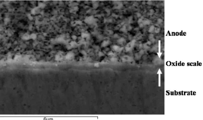 Figure 4. A cross-sectional SEM micrograph of an interface between an anode and a  metal substrate processed at 1100 °C, showing a thermally grown oxide scale in between