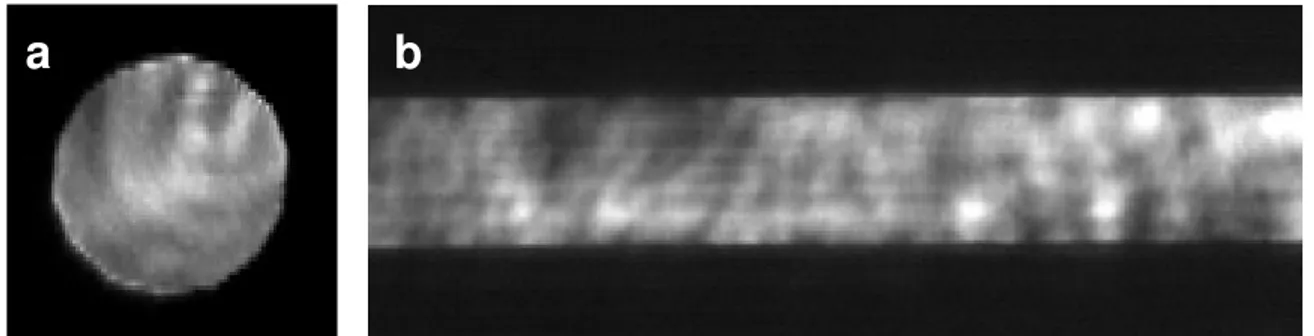 Figure 4 - a.) beam profile of 532 nm desorption laser at sample surface (dia. 1 mm), b.) section  of beam profile of 266 nm ionization laser in ionization zone for 30 followed by 50 cm lens  configuration (total profile is 0.86 x 17 mm)