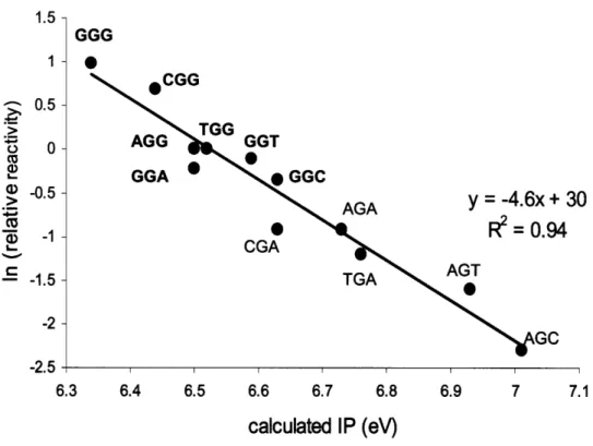 Figure  1-5.  Relative numbers  of hot piperidine-sensitive guanine  lesions produced  by photoactivated  riboflavin in XGY sequence contexts versus their calculated sequence-specific  ionization potentials (IPs)