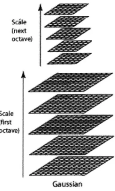 Figure 2-5:  A  2-octave  pyramidal  description  of an  image,  with  4  gaussian  blurs  per octave.