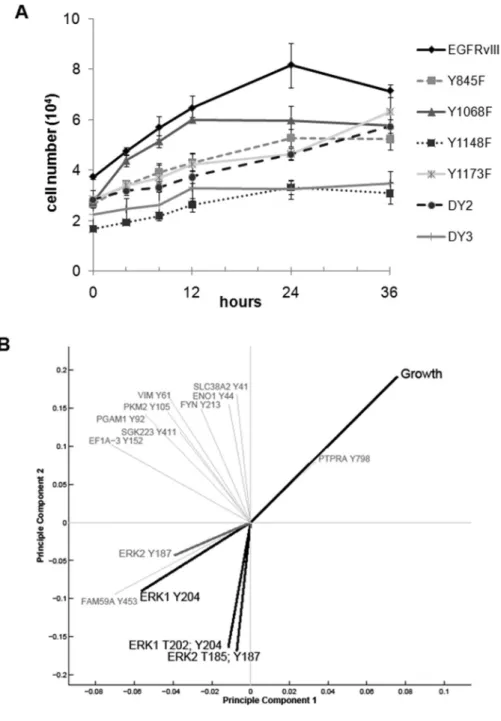 Figure 4. Cell growth rates for EGFRvIII mutant lines and PLSR analysis