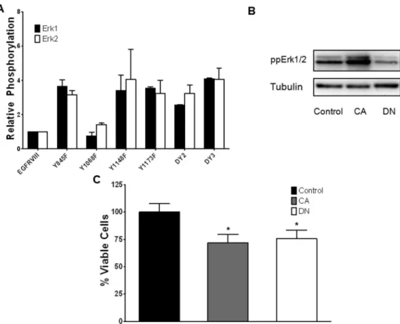 Figure 5. Phenotypic responses of U87MG-EGFRvIII cells to Erk modulation