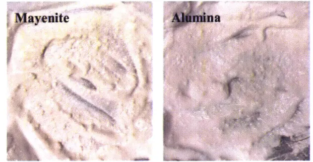 Figure  11:  A  qualitative  comparison  between  the  clumps  of ceramic  in  a  mixture  of mayenite  and acetone  (left)  and alumina  and  acetone  (right).