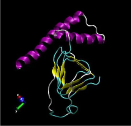 Figure 1. The secondary structure of a monomer of PrP 27–30 [33].