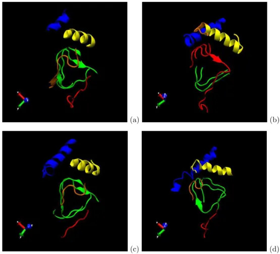 Figure 4. Five largest correlated domains in PrP 27–30 identified at various trajectory times: