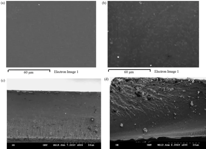 Fig. 2. SEM micrographs on nanocomposite membranes. (a) Top-surface of NM-SA-5 membrane, (b) top-surface of NM-silica-5 membrane, (c) cross-section of NM-SA-5 membrane, and (d) cross-section of NM-silica-5 membrane.