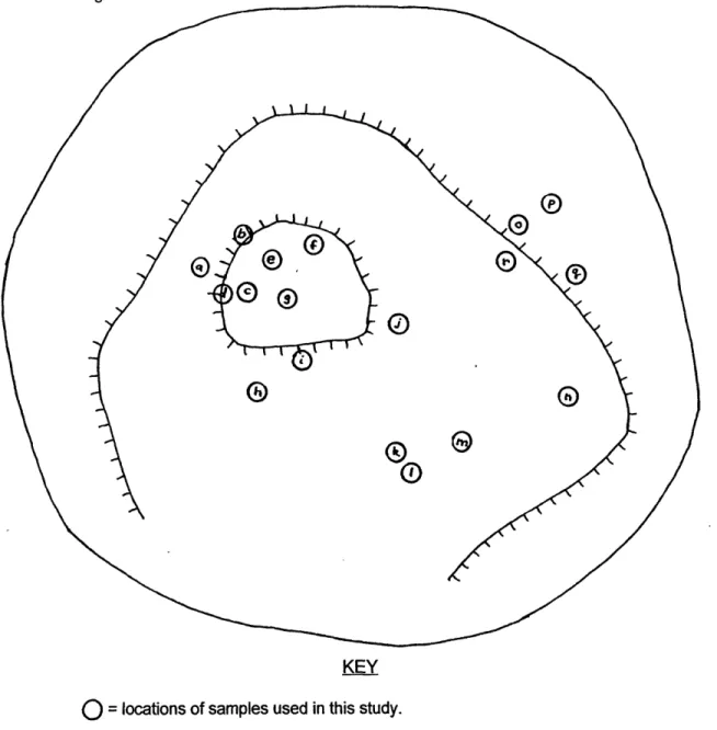 Figure  6.  Location  of  Samples  on  TAG  active  mound.,  Plan  view  compiled  from  observations made during  Alvin dives.