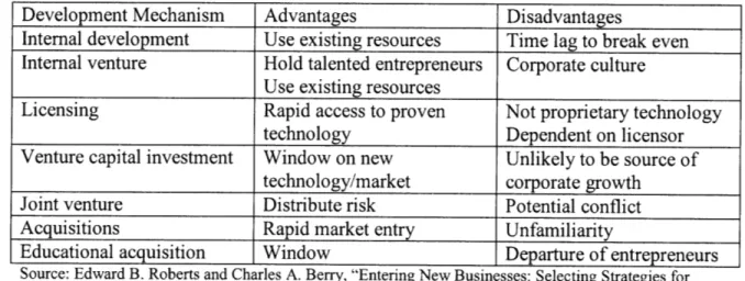 Table 6.  New business  entry  strategies