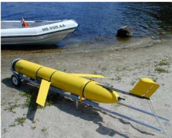 Figure 1: SLOCUM glider on the beach 