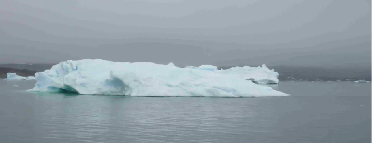 Figure  7  shows  the  iceberg  that  was  chosen. The iceberg was estimated to have  between  12000-15000t  of  displacement  and  a  maximum  waterline  length  of  30m