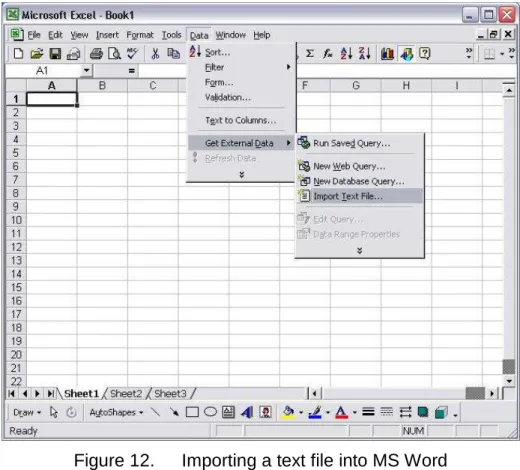Figure 12.  Importing a text file into MS Word 