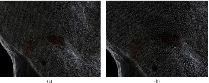 Figure 3. Deformation of the first hole in the model of a chicken compared to the original mesh.