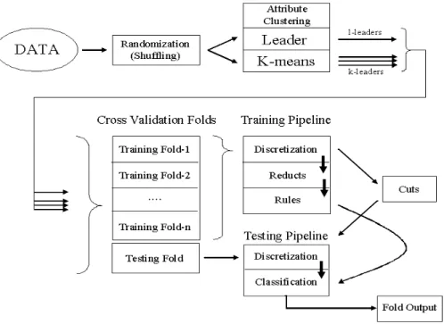 Figure 1: Data processing strategy combining clustering, Rough Sets analysis and crossvalidation.