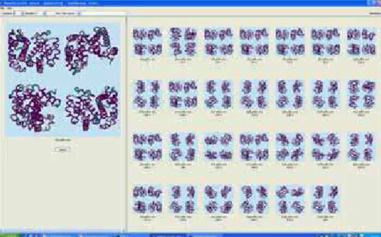 Figure 10: Retrieval of all 16 members of the Homo Sapiens  Hemoglobin family within 27 protein structures, using the 