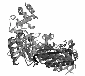 Fig. 4. A visualization of a protein showing structural elements like helices and strands.