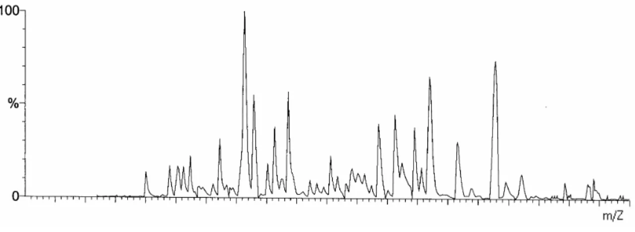Fig. 6. Mass spectrum from a sample of mouse brain tissue. The horizontal axis is the mass/charge ratio and the vertical axis is the relative intensity