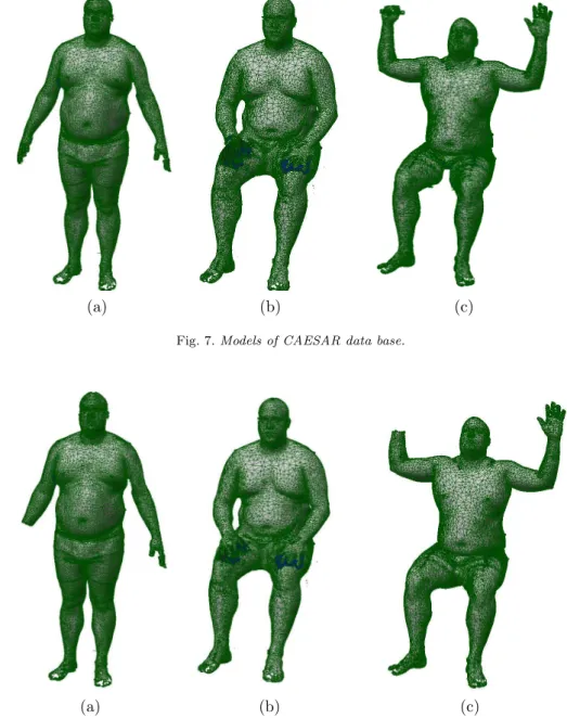 Fig. 7. Models of CAESAR data base.