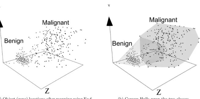 Figure 4: Breast Cancer Data (GP-GEP with 5 functions). Light objects: benign. Dark objects: malignant.