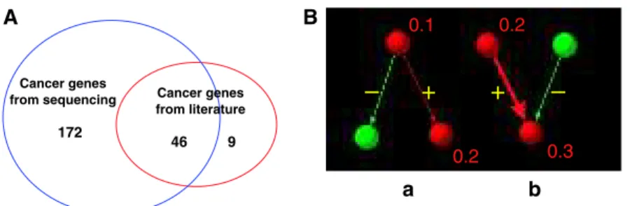 Figure 1 Illustration of the sources of cancer mutated network genes and oncogenic signal transduction events
