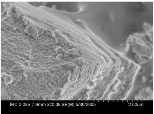 Fig. 2 SEM micrographs of a C-S-HPN material (CSH-PAA (0.7-0.05)) 