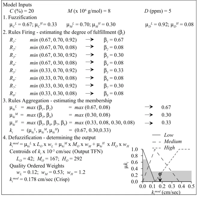 Figure 4: Model outline for anionic polymers  