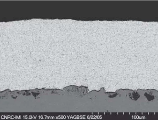 Fig. 5 Microstructures of (a) NA-2 and (b) NA-4