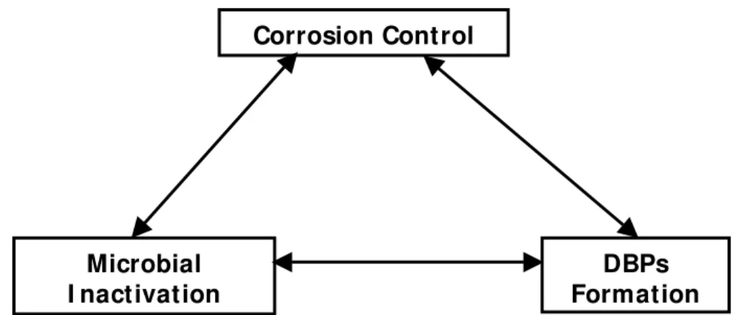 Figure 1. Interactions between various components disinfection in distribution system  Emerging DBPs 