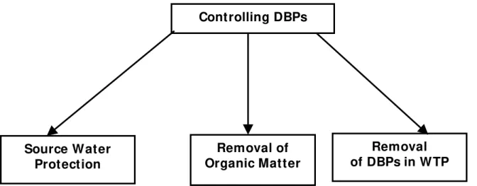 Figure 2. Three types of measures to control DBPs  Distribution Infrastructure and Disinfection 