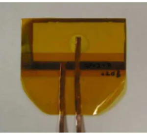 Figure 1.   Photograph of a PZT film coated onto 75µm thick SS foil by tape  casting. 
