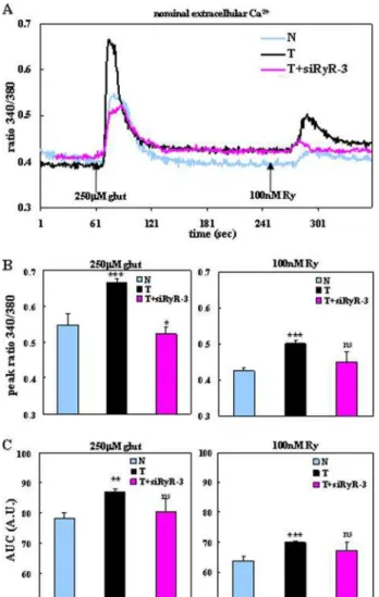 FIGURE 4. Calcium release from ER stores was significantly enhanced in TgCRND8 primary cortical neurons via RyR-3 compared with littermate controls
