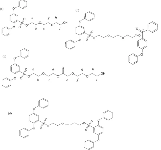 Fig. 13. Structures possibly formed in the course of curing of membranes, containing EG in their formulation: (a) EG trimer attached to the SPEEK; (b) example of structure including some of the potential functional groups