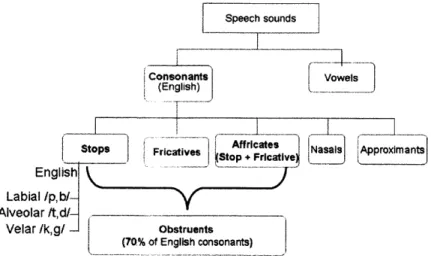 Fig.  1-1  Concept Map  - Speech  sounds are  composed of vowels and  consonants.  English consonants  can be sub-categorized into stops, fricatives, affricates,  nasals, and  approximants, according  the manner  of articulation