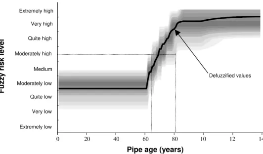 Figure 3.  Life-time fuzzy risk 