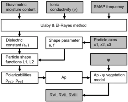 Figure 3. Conceptual workflow of the model-based RVI, starting at permittivity input level