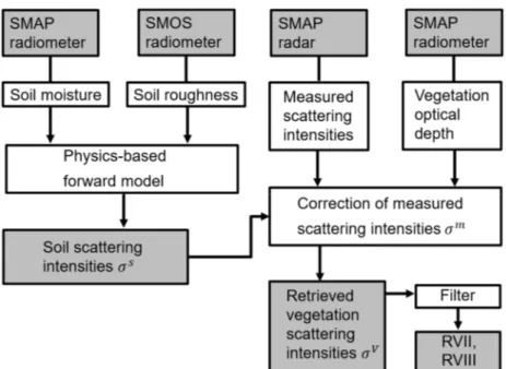 Figure 5. Conceptual workflow of retrieving the improved radar vegetation index (RVII) by a multi- multi-sensor (active-passive microwave) approach