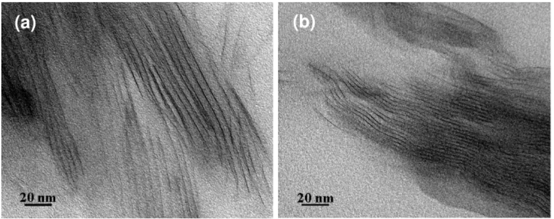 Figure 3. TEM micrographs of C30B nanocomposites cured with (a) D2000 and (b) D230. 