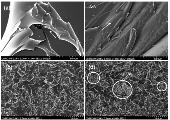Figure 8. Fracture surfaces for epoxy (top) and its C30B nanocomposites (bottom) based on D2000 (a, b) and D230 (c,  d)