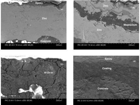 Fig. 7. Scanning electron microscopy images: (a) Zn anode; (b) Zn-Mg anode; (c) Al- Al-Zn-In anode; (d) concrete surface treatment 
