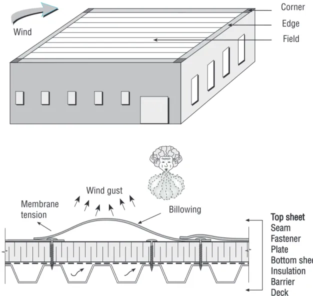 Figure 1: Wind effects on mechanically attached roof systems  All figures courtesy of the  I nstitute for Research in Construction 