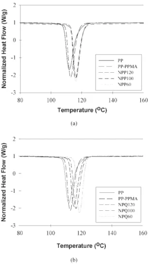 FIG. 10. DSC thermograms of (a) PP, PPMA, NPP60, NPP100, and NPP120; (b) NPQ60, NPQ100, and NPQ120