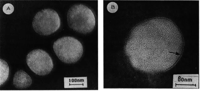 Figure  9, the size  of the  PLA-lipid nanoparticles  were  on the  range  of 240-330  nm with an average nanoparticle  size  of 229  29  nm.