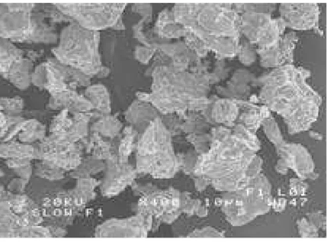 Figure 2: Iron powder used to produce the foams (ATOMET 95 from QMP). 