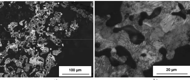 Figure 9: Microstructure of Fe-1.05%C foams produced by gas carburization of a pure Fe foam at a) low  and b) high magnification