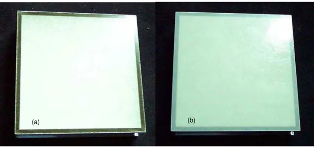 Figure 1: Exterior (a) and interior (b) sides of the analyzed translucent panel. 