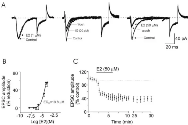 Fig. 1. 17b-Estradiol inhibits evoked excitatory postsynaptic currents (EPSCs) recorded in PBN cells in a concentration-dependent  man-ner