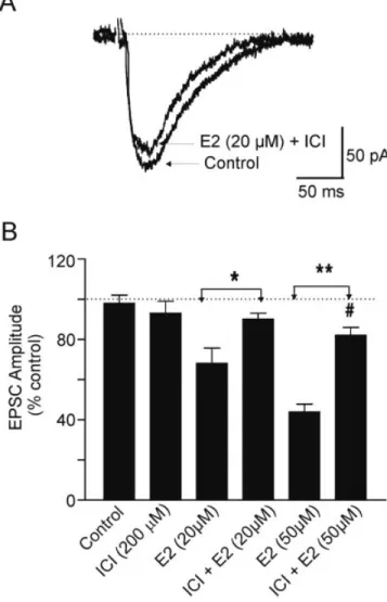 Fig. 2. The inhibitory effect of 17b-estradiol is partially mediated by classical estrogen receptors